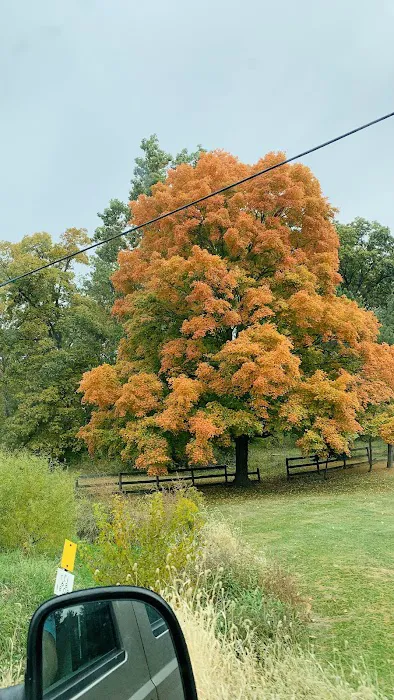 Pine Cove Campground Picture 6