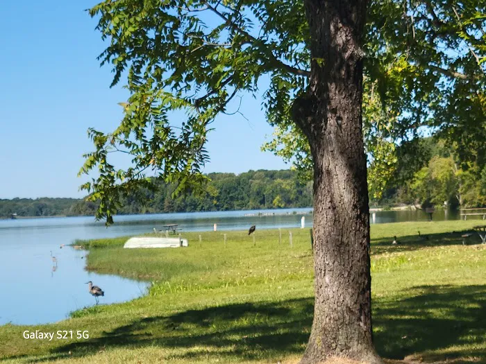 Kiser Lake Campgrounds Picture 8