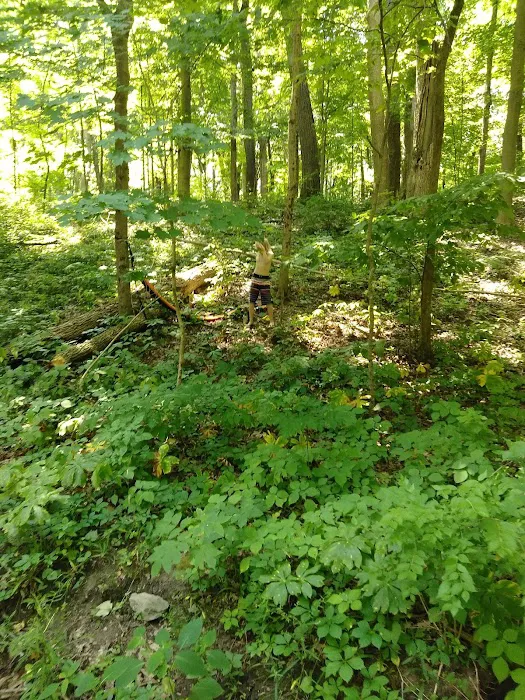 Kiser Lake Campgrounds Picture 7