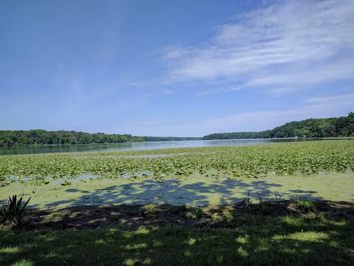 Kiser Lake Campgrounds Picture 6