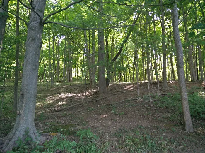 Kiser Lake Campground & Marina Picture 5