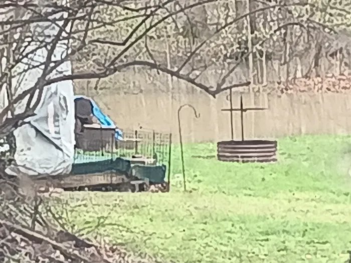 Oakdale Campground Picture 2