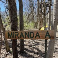 Miranda A Campsite ico