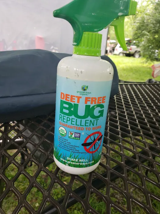 Wright Patterson Scout Camp Picture 1