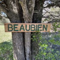 Beaubien Campsite ico