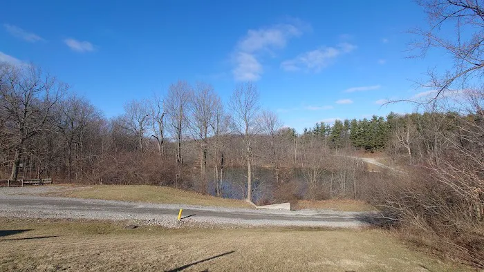 A&E Camping Resort Picture 3