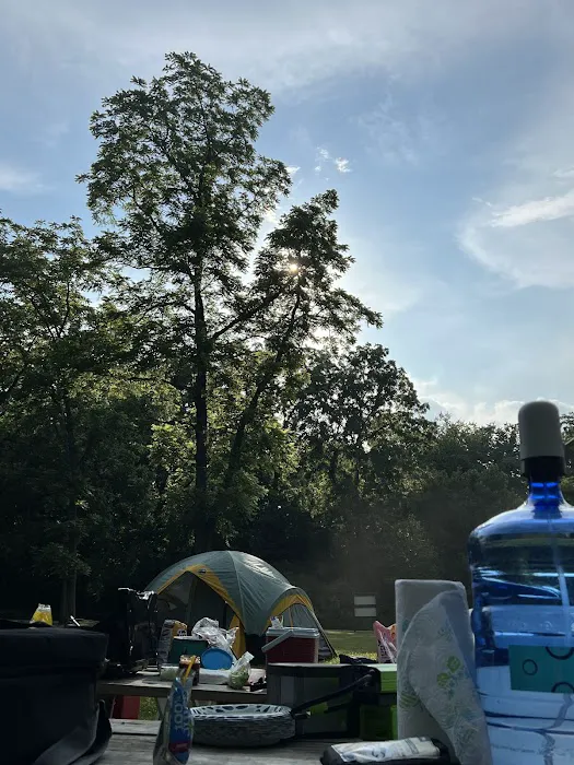 Pine Tree Group Camp Picture 6