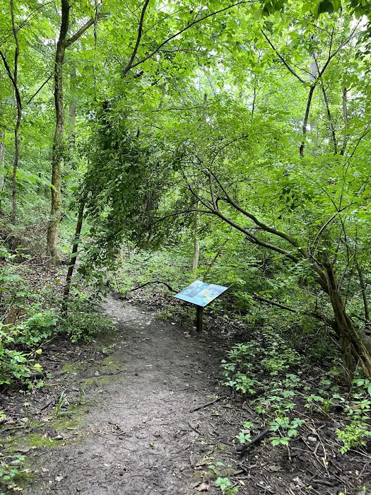 Pine Tree Group Camp Picture 5