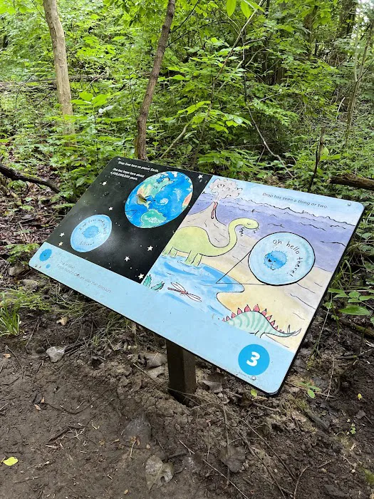 Pine Tree Group Camp Picture 9