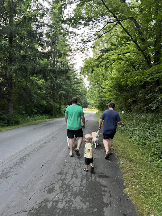 Pine Tree Group Camp Picture 8