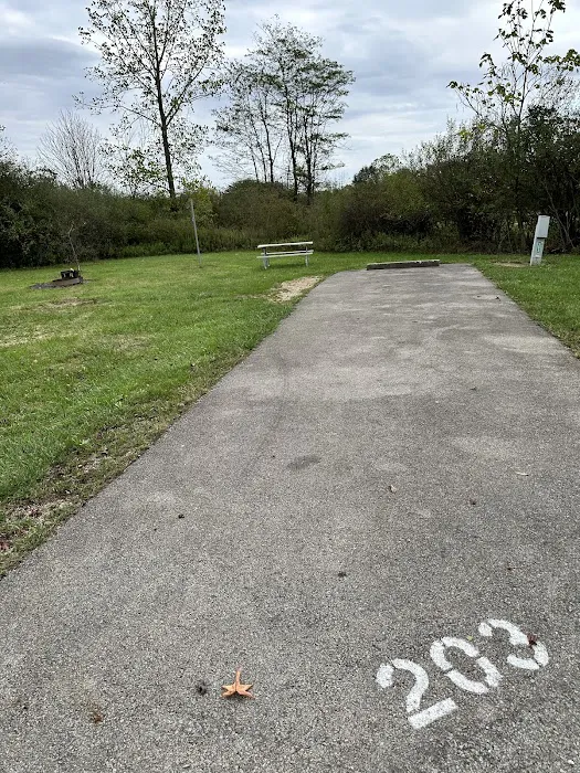 Campsite 203 (Electric Only) Picture 1