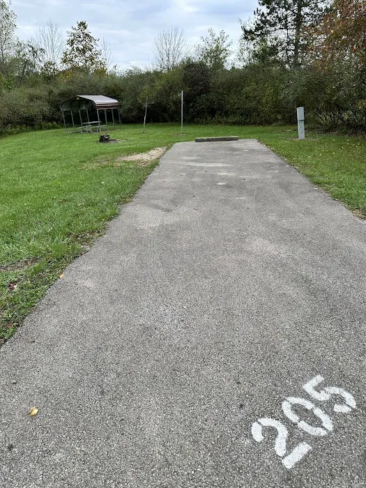 Campsite 205 (Electric Only) Picture 1