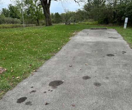 Campsite 223 (Electric Only)