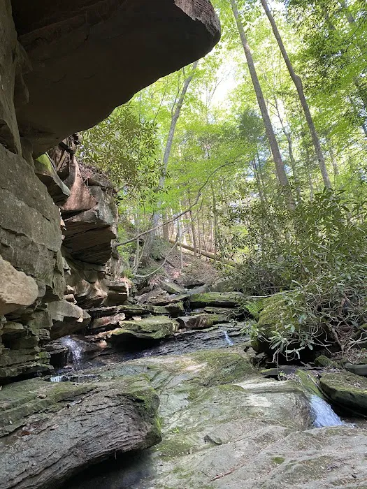 Camping at Shasta Valley Picture 10