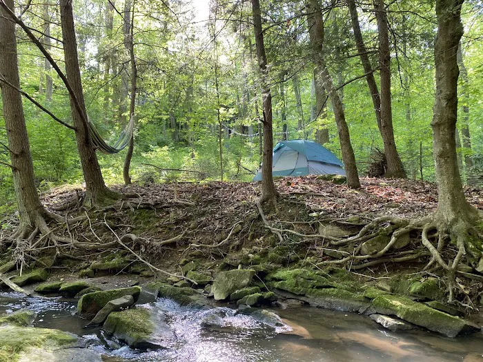 Camping at Shasta Valley Picture 4