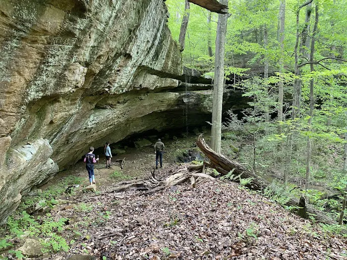 Camping at Shasta Valley Picture 8