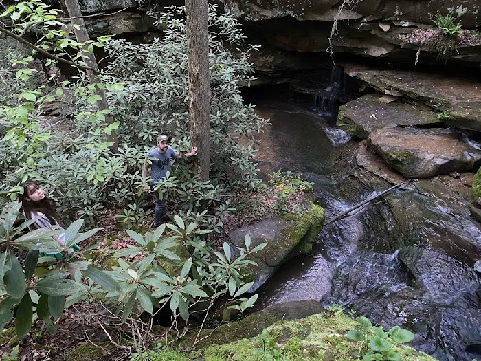 Camping at Shasta Valley Picture 6