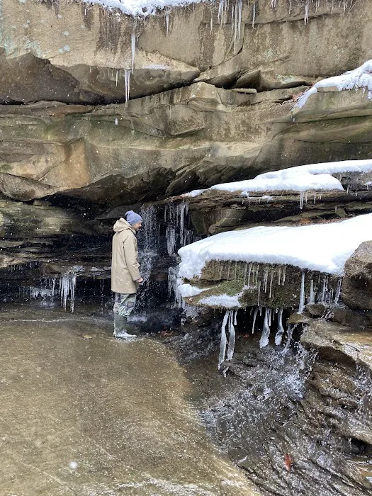 Camping at Shasta Valley Picture 9