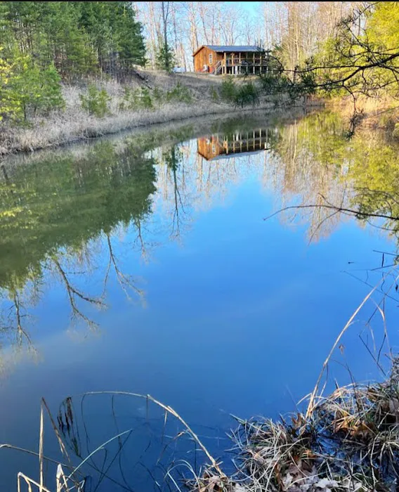 Little Bear Cabin Picture 3