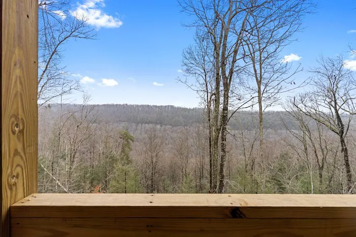 Starway to Heaven Cabin Picture 6