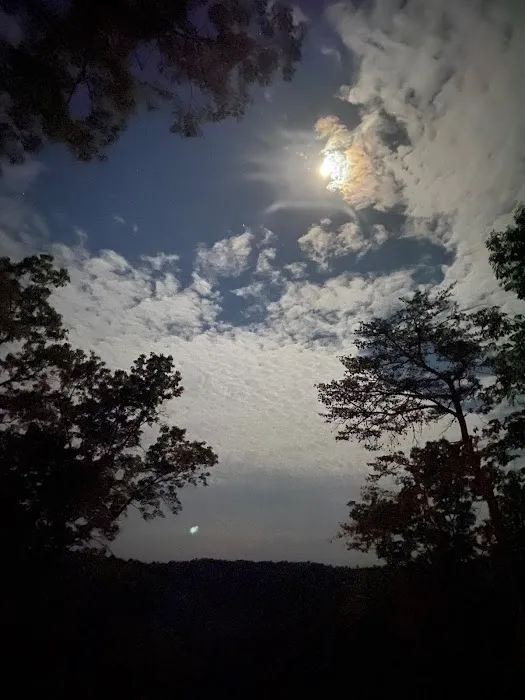 Moondance Cabin Picture 2