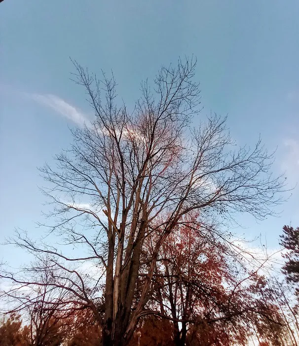 Green Meadows Campgrounds Picture 7