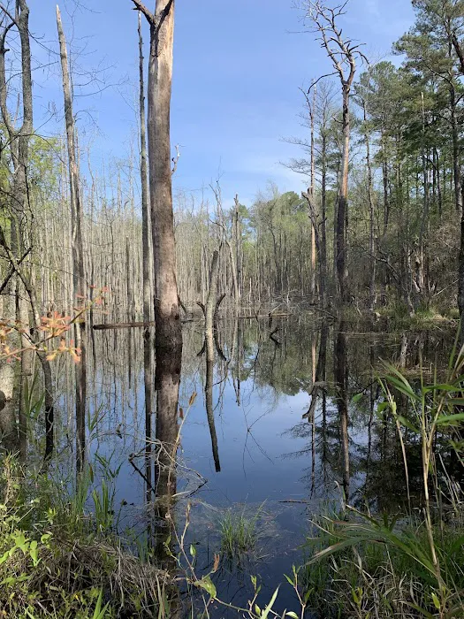 Smith Lake Army Travel Camp at Fort Bragg Picture 5