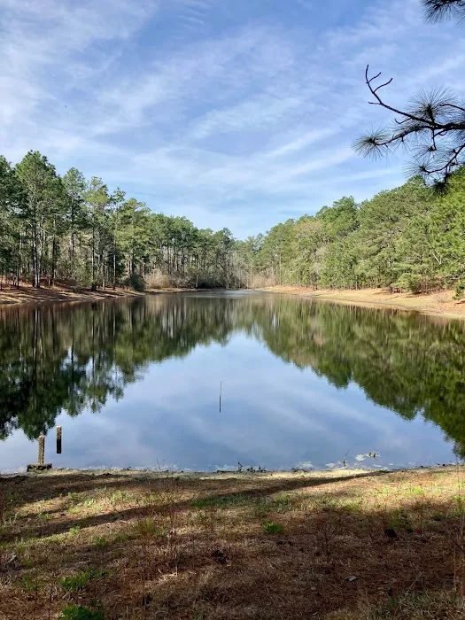 Spacious Skies Campgrounds - Sandy Run Picture 8
