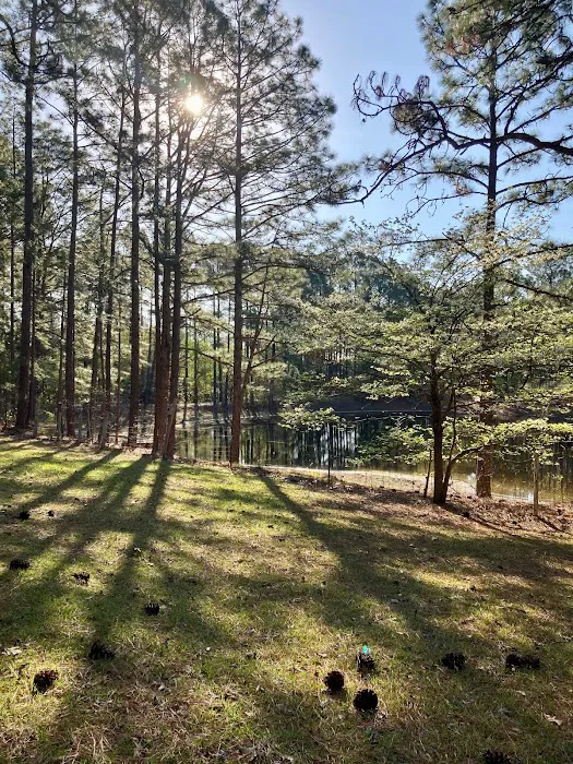 Spacious Skies Campgrounds - Sandy Run Picture 7