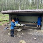 DoubleSpringsShelter