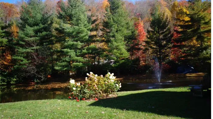 Honey Bear Campground Picture 9