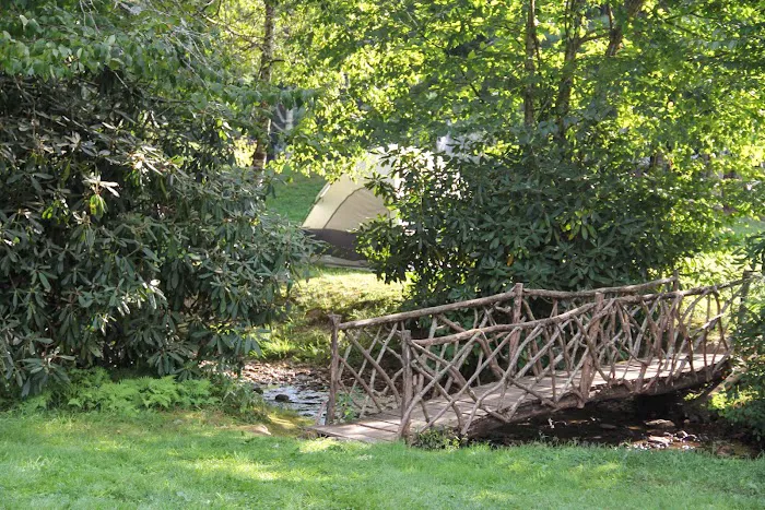 Honey Bear Campground Picture 8