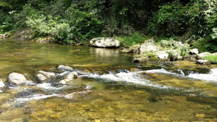 Mortimer Campground Picture 4