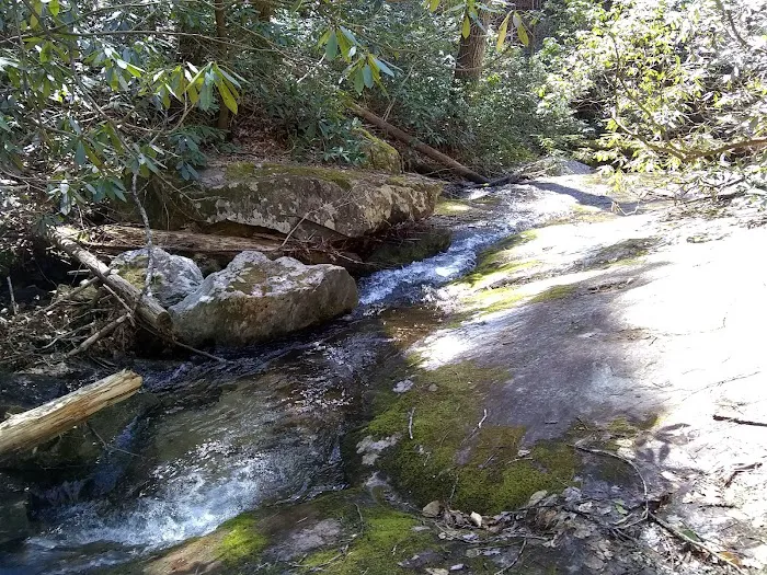 Mortimer Campground Picture 7