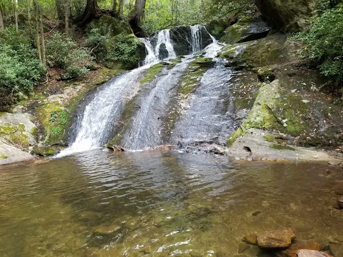 Mortimer Campground Picture 6