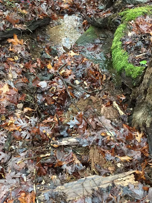 Mortimer Campground Picnic Shelter Picture 7