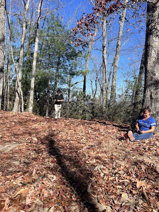 Backcountry campsite #317 Picture 2