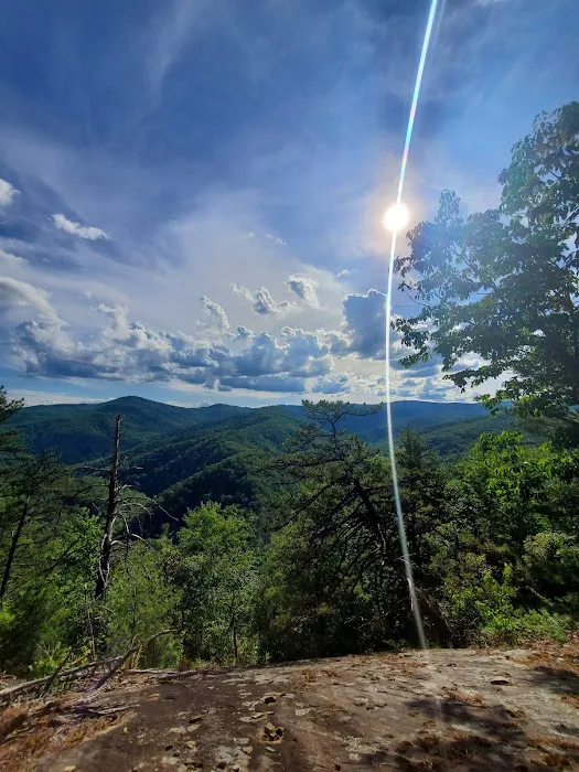 Backcountry campsite #317 Picture 3