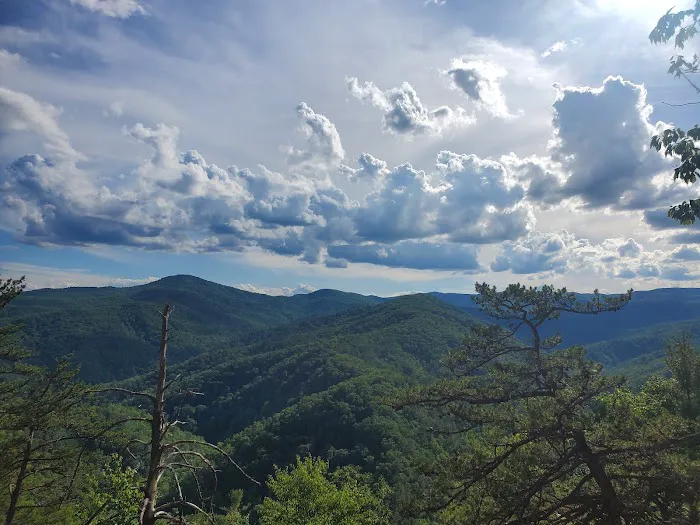 Backcountry campsite #317 Picture 1