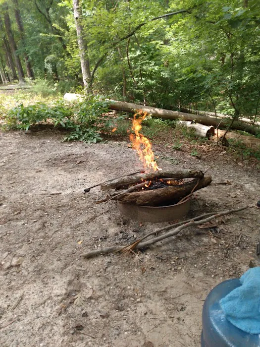 Kings Mountain Campground Picture 8