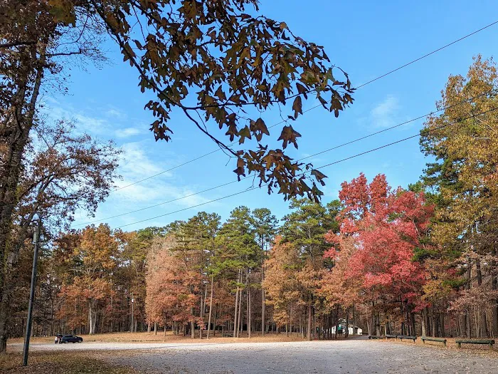 Kings Mountain Campground Picture 6