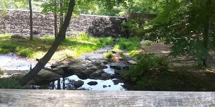 Kings Mountain Campground Picture 5