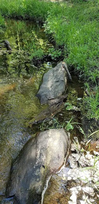 Kings Mountain Campground Picture 9