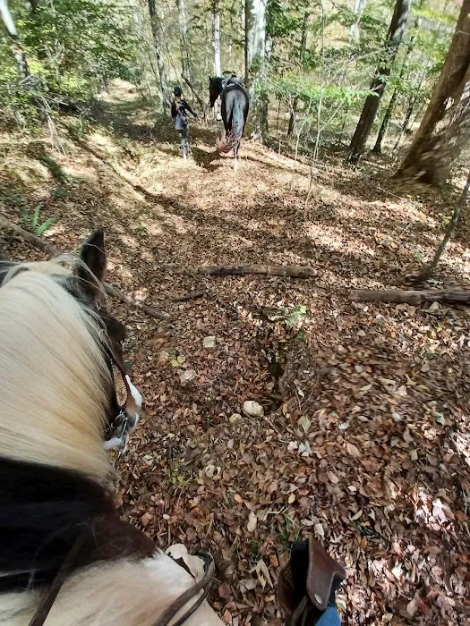 Kings Mountain State Park Equestrian Campground Picture 3