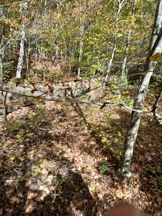 Kings Mountain State Park Equestrian Campground Picture 7