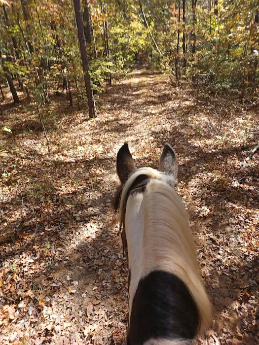 Kings Mountain State Park Equestrian Campground Picture 2