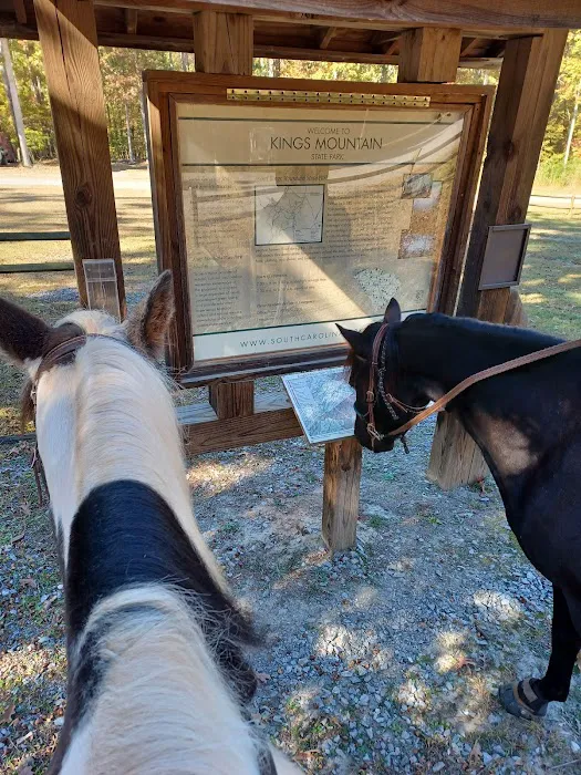 Kings Mountain State Park Equestrian Campground Picture 9