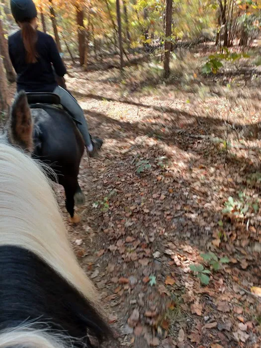 Kings Mountain State Park Equestrian Campground Picture 5