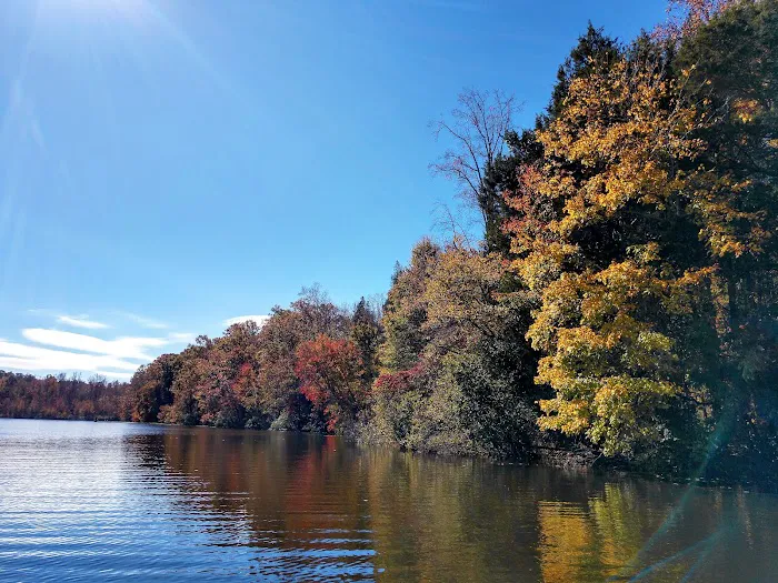 Camp York Picture 10