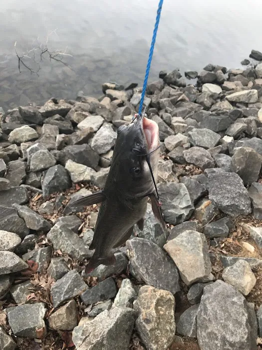 McDowell Campground Picture 7